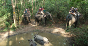 Kathmandu to Bharatpur Flight