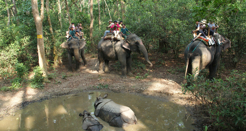 Kathmandu to Bharatpur Flight
